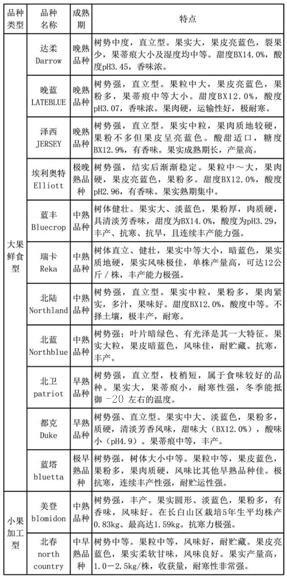藍(lán)莓品種